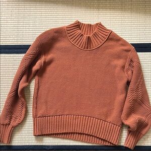 Everlane Terracotta Women's Turtleneck Sweater